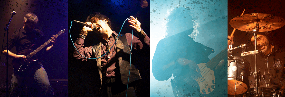 The Wolf You Feed Official Online Shop